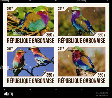 Stamp Print In Gabon Birds Stock Photo Alamy