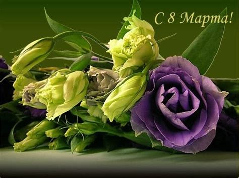 Бесплатно отправить открытки на whatsapp с сайта галерея поздравлений. С наступающим 8 Марта - лучшие поздравления в стихах ...