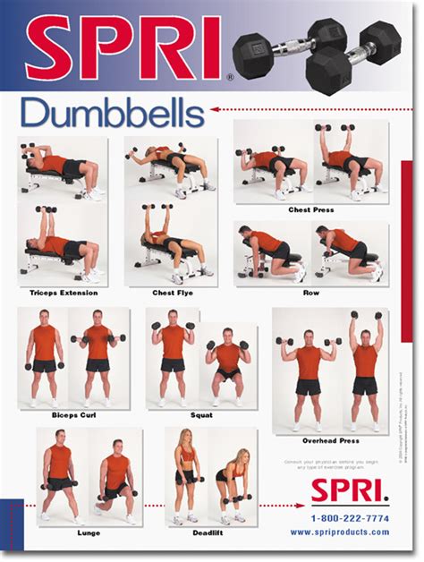 Free Dumbbell Workout Chart Pdf Tutorial Pics