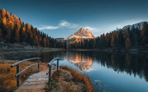 Wallpaper Italy Alps Trees Lake 1920x1200 Hd Picture Image