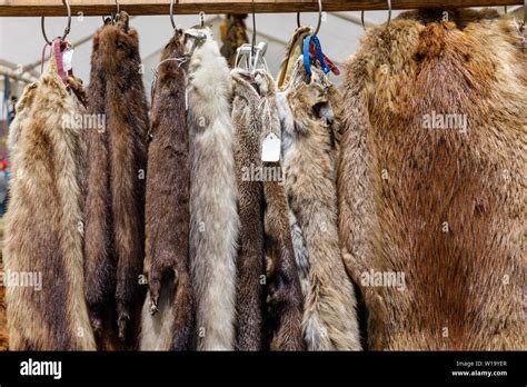 Animal Pelts And Furs For Sale Iroquois Festival Fonda New York