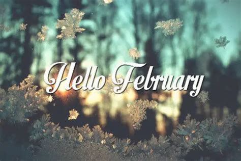 50 Hello February Images Pictures Quotes And Pics 2024
