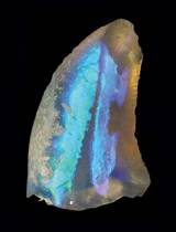 Dinosaur Fossil Opal Photos