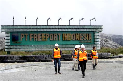 Program Kontribusi Saham Freeport Untuk Papua Tahun 2020 Rifka Rizkiana