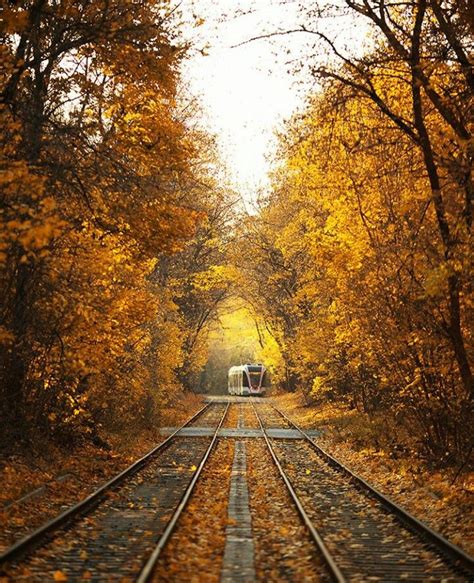Railroad Tracks Autumn Trains Fall Season Fall Train Tracks
