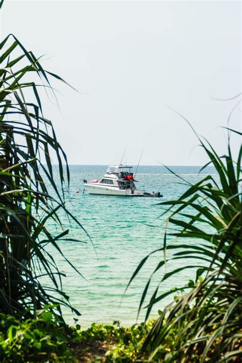 Speed Boat Moored At Shore Side View From Forest Beach Seascape View