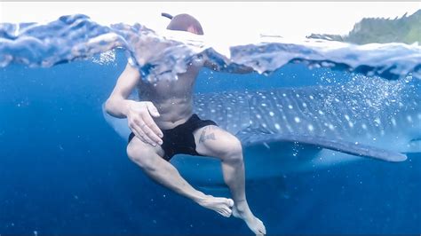 Is shark haram to eat? TESTING IF WHALE SHARKS EAT HUMANS IN PHILIPPINES - YouTube