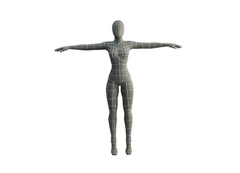 3d Model Base Mesh Female Low Poly Vr Ar Low Poly Cgtrader