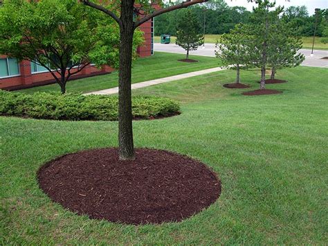 Garden edging ideas create clean and clear lines that separate grass from the flower beds. Landscape Maintenance in Toronto - Landscaping Services