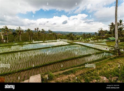 Subak Bali Unesco Hi Res Stock Photography And Images Alamy