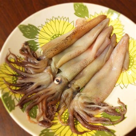 Squid 1 Kg Element Seafood
