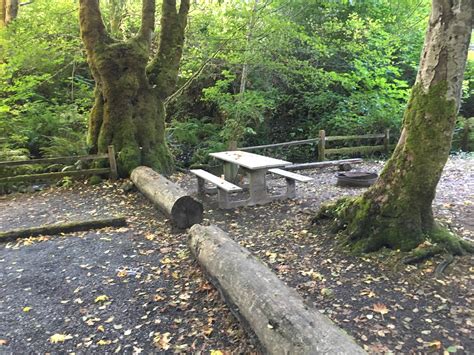 Potlatch State Park Campground | Shelton, WA