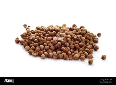 Coriander Seeds Isolated Over White Background Stock Photo Alamy