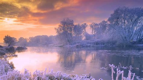 Winter Full Hd Wallpaper And Background Image 1920x1080