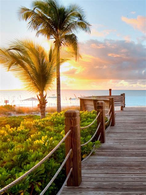 Sunset Wood Dock Palm Trees Android Wallpaper Free Download
