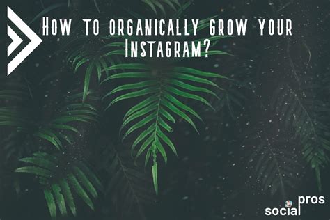 How To Organically Grow Your Instagram Social Pros