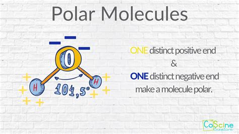 Polar Molecule Definition
