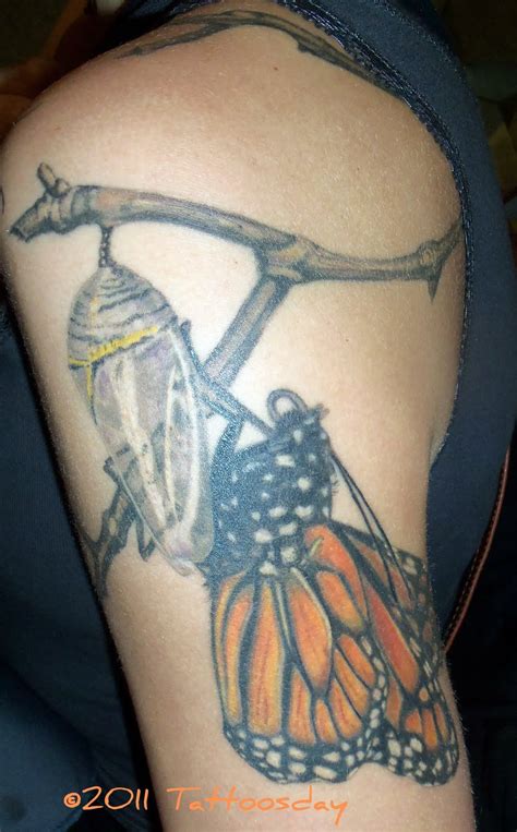 In short, for a caterpillar to turn into a butterfly, it digests itself using enzymes triggered by hormones. Tattoosday (A Tattoo Blog): August 2011