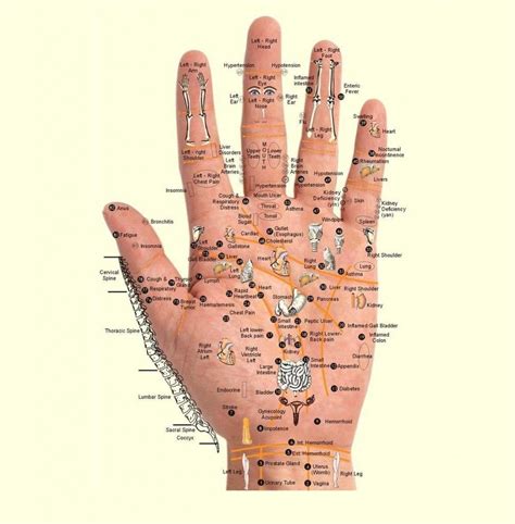 This Chart And Techniques For Hand Reflexology And Massage Of Meridian Points Shows Us Where And