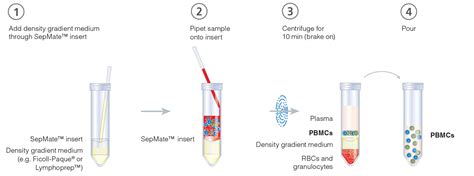Wherever possible, examples and practical protocols. SepMate™ PBMC Isolation Tubes
