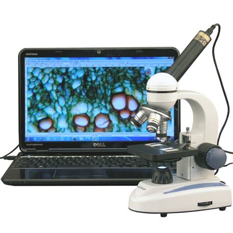 Amscope 40x 1000x Biology Science Metal Glass Student Microscope With