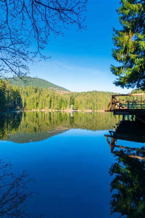Mountain Lake Among The Coniferous Forest Stock Image Image Of Fresh