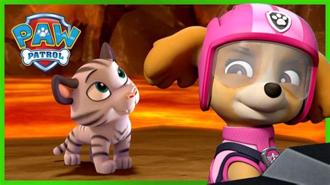 Ultimate Rescue Pups Save Tigers Paw Patrol Cartoons For Kids