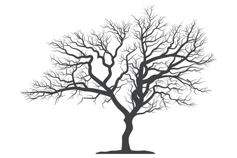 Scary Dead Tree Silhouette Image 5591621 Vector Art At Vecteezy
