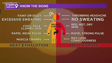 Know The Signs How To Tell The Difference Between Heat Exhaustion And