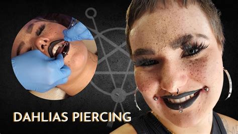 Dahlias Piercing By Kewi YouTube