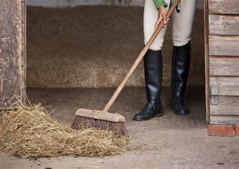 How To Muck Out A Horse Stall Horse Stalls Stall Cleaning Horses