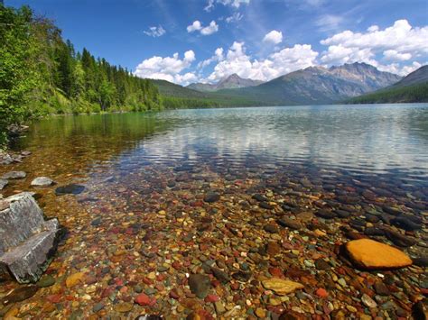 Freshwater Ecosystem National Geographic Society