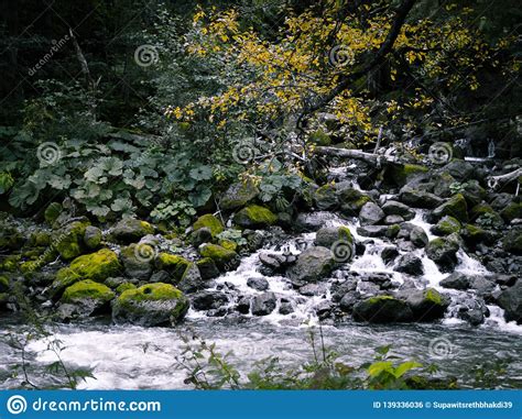 Rock Covered With Moss And River Flowing In Mountain From Ryu Sei