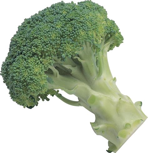 Broccoli Png Image Transparent Image Download Size 1185x1227px