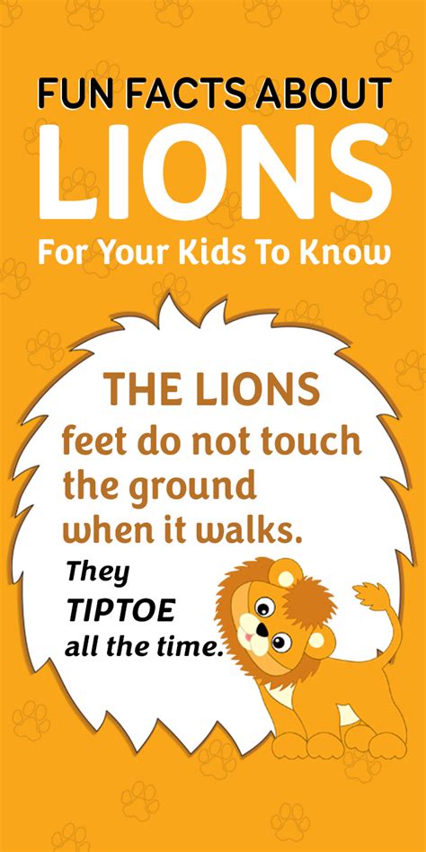 Fun Facts About Lions For Kids