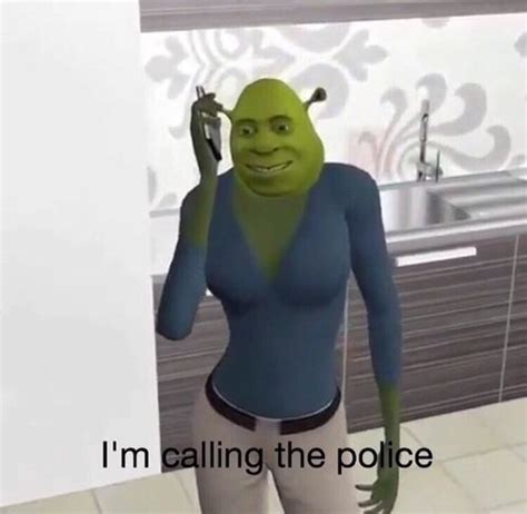 Im Calling The Police Shrek Know Your Meme