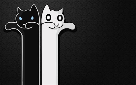 Fantasy Art Cat Kittens Minimalism Memes Longcat Wallpapers Hd