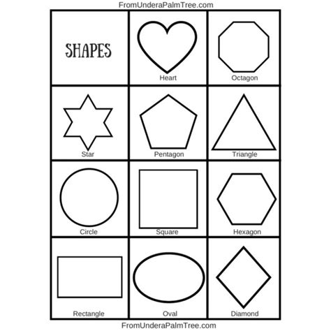 Shape Recognition Activity From Under A Palm Tree Shapes Worksheets