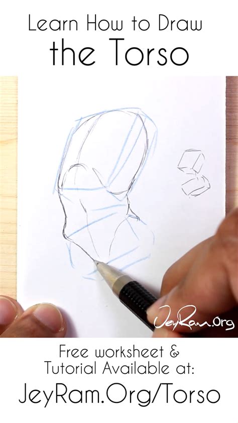 How To Draw The Torso Step By Step Tutorial Artofit