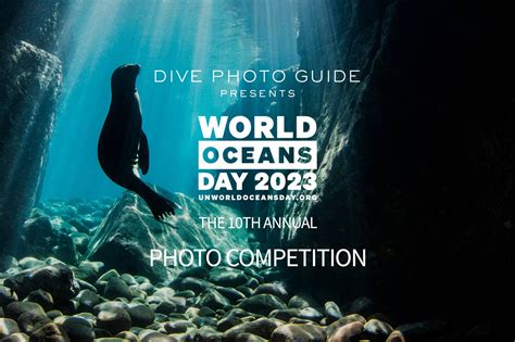 2023 World Oceans Day Photo Competition Submissions Are Now Open