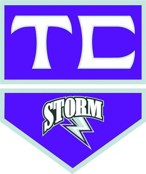 Purple Storm Logo Logodix