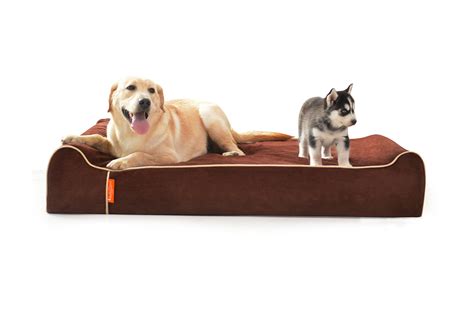 Memory foam is a pretty good bed material for most dogs, but some benefit more from it than others. Laifug Orthopedic Memory Foam Extra Large Dog Bed ...