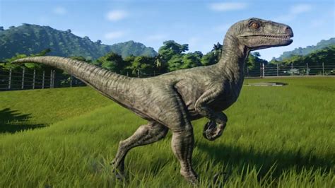 Jurassic World Evolution Velociraptor Gameplay Ps4 Hd [1080p60fps] Youtube