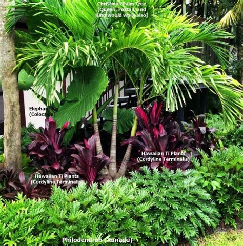 Beautiful And Refreshing Tropical Garden Landscaping