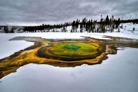 Yellowstone Winter Wonderland