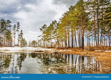 Spring Siberia River Ob Stock Image Image Of Thawing 53313317