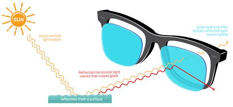 Polarized Lenses Explained Vision Works