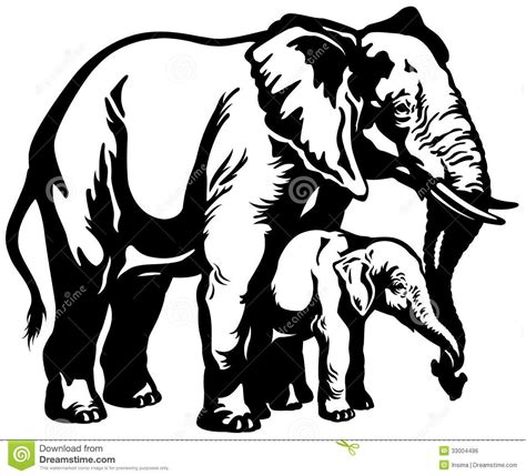 Elephant Black And White Clipart Free Elephant Images Animal Stencil