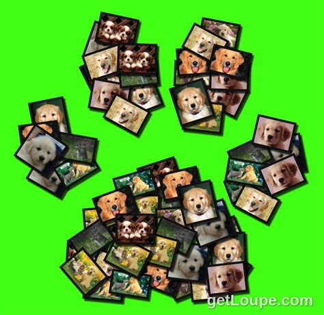 Puppy Love Loupe Collage Loupe