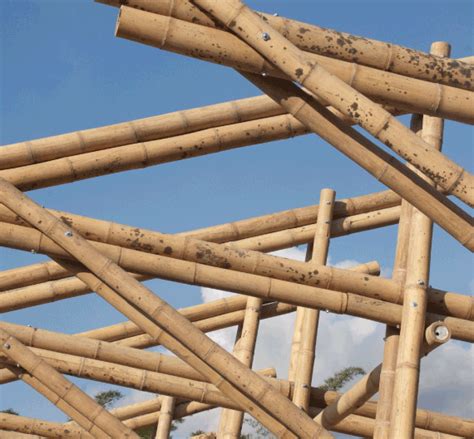 Colombia House Bamboo Housing Structure Bambusa Studio Bamboo Roof